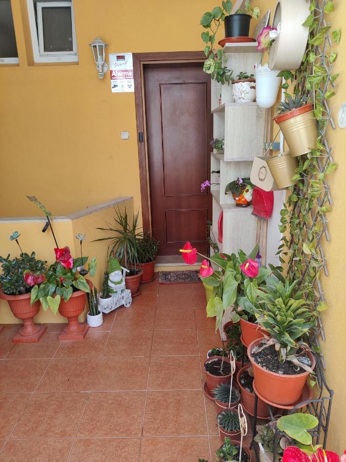 Casinha Gabriela Apartment Lagos Exterior photo