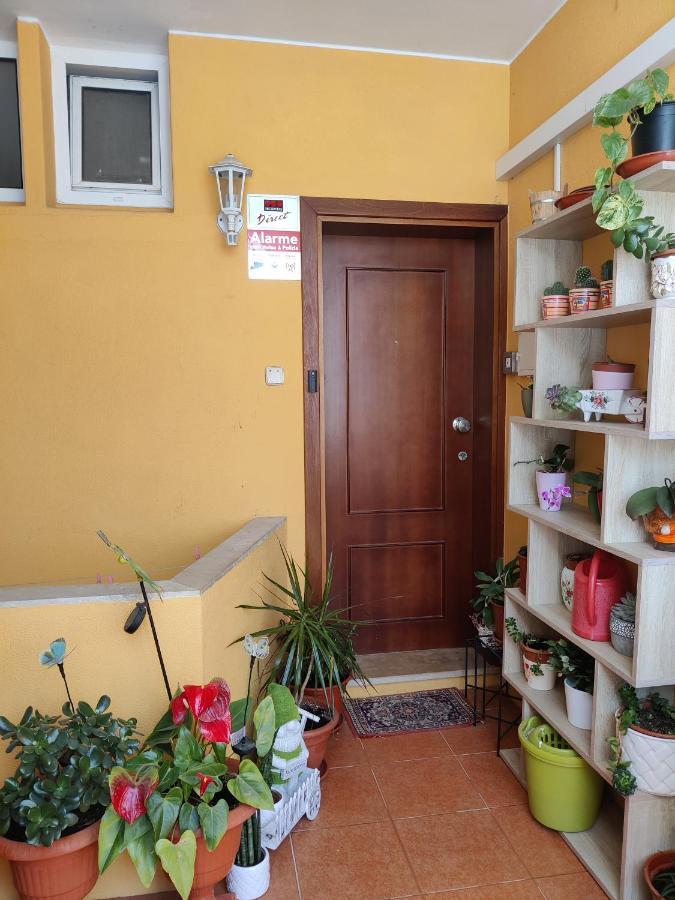 Casinha Gabriela Apartment Lagos Exterior photo